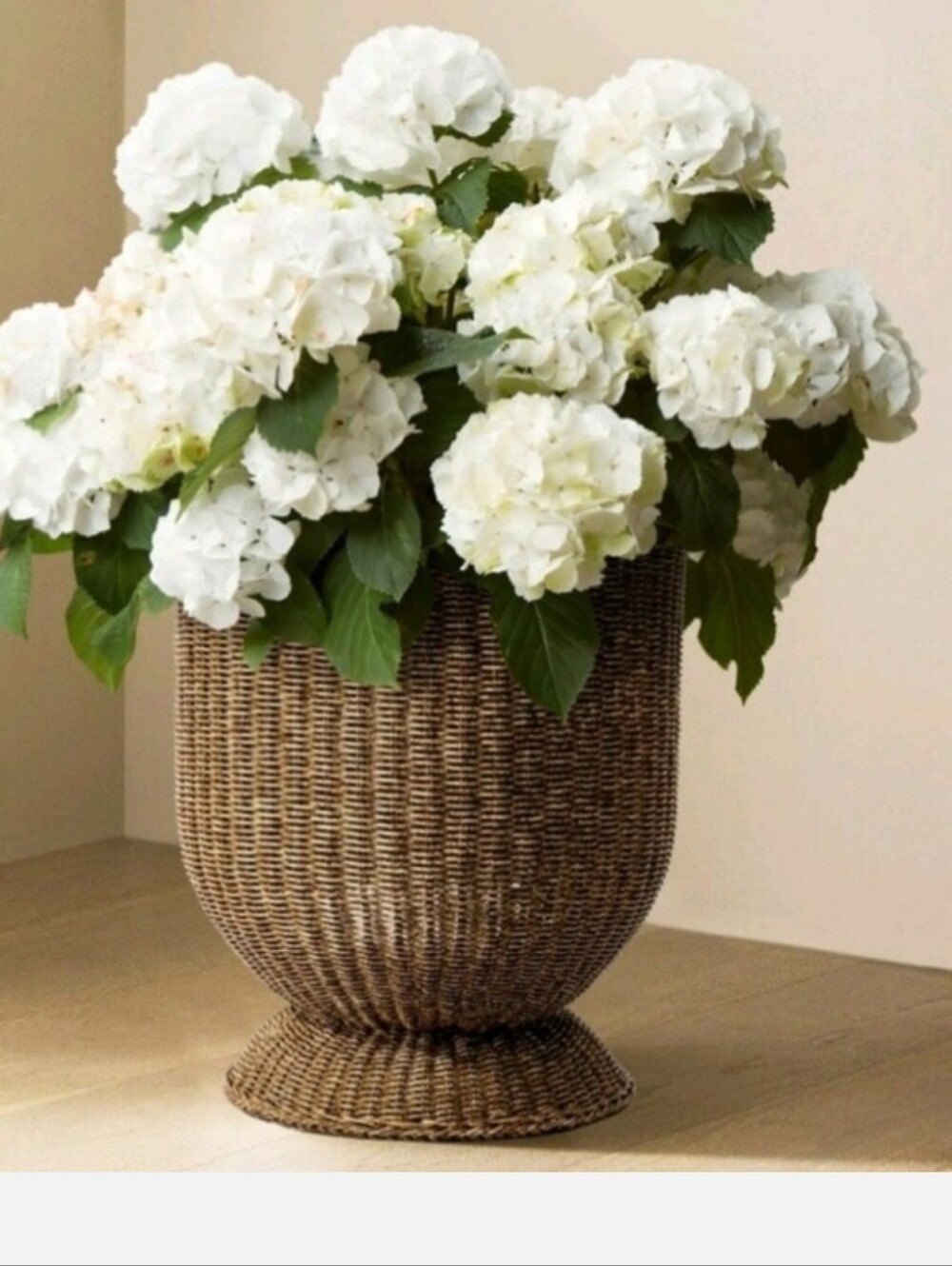 My Texas House 16 inch Brown Woven Resin Urn Planter